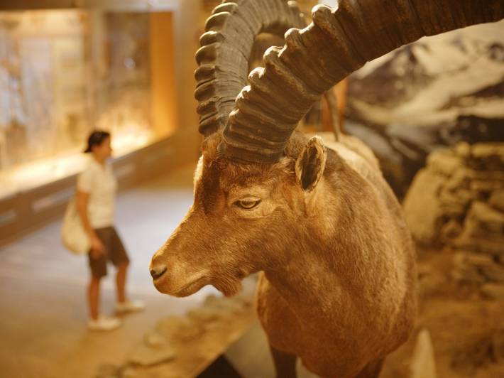 Museum für Kinder in Südtirol Museum für Kinder in Südtirol