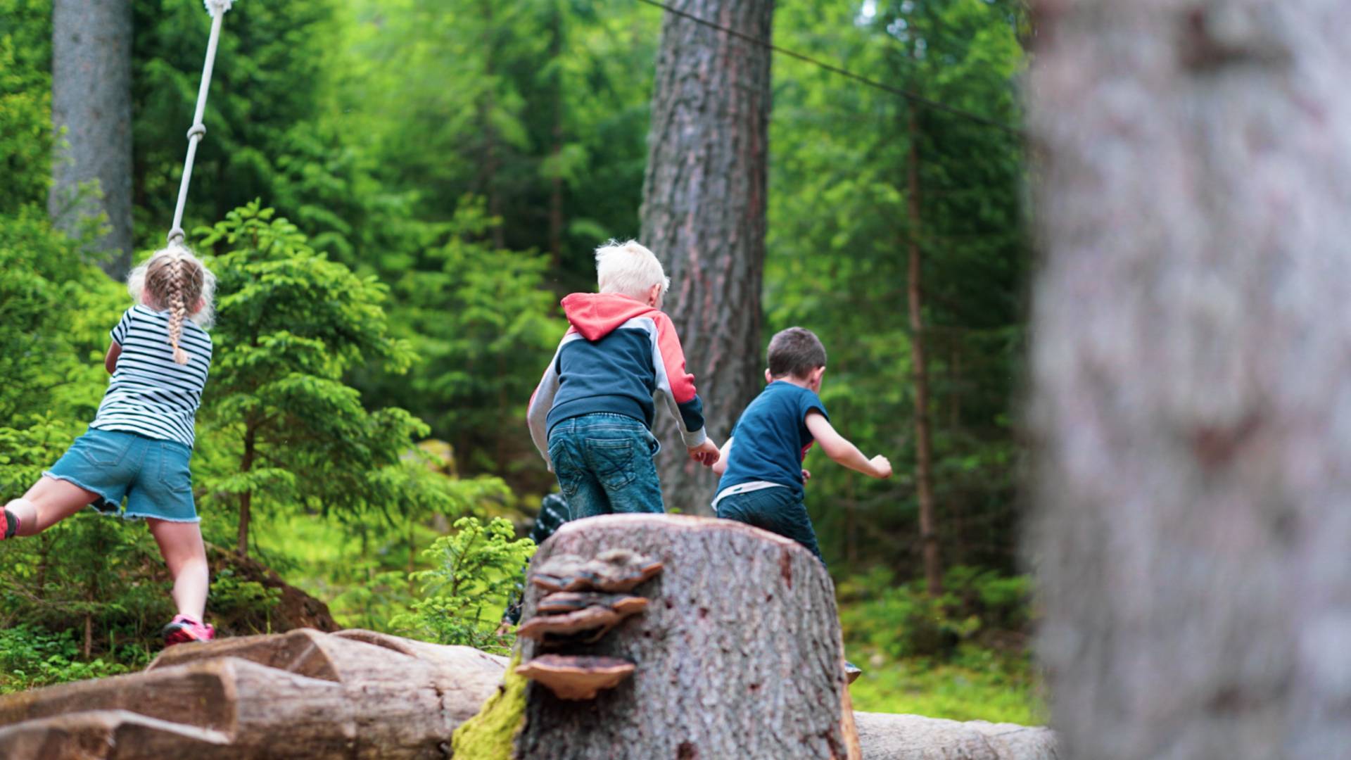 Familienhotel Viktoria Familienhotel Viktoria