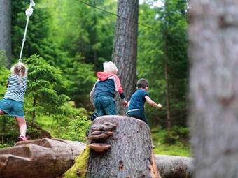 Familienhotel Viktoria Familienhotel Viktoria