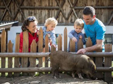 Familienhotels Südtirol: The happy family places Familienhotels Südtirol: The happy family places