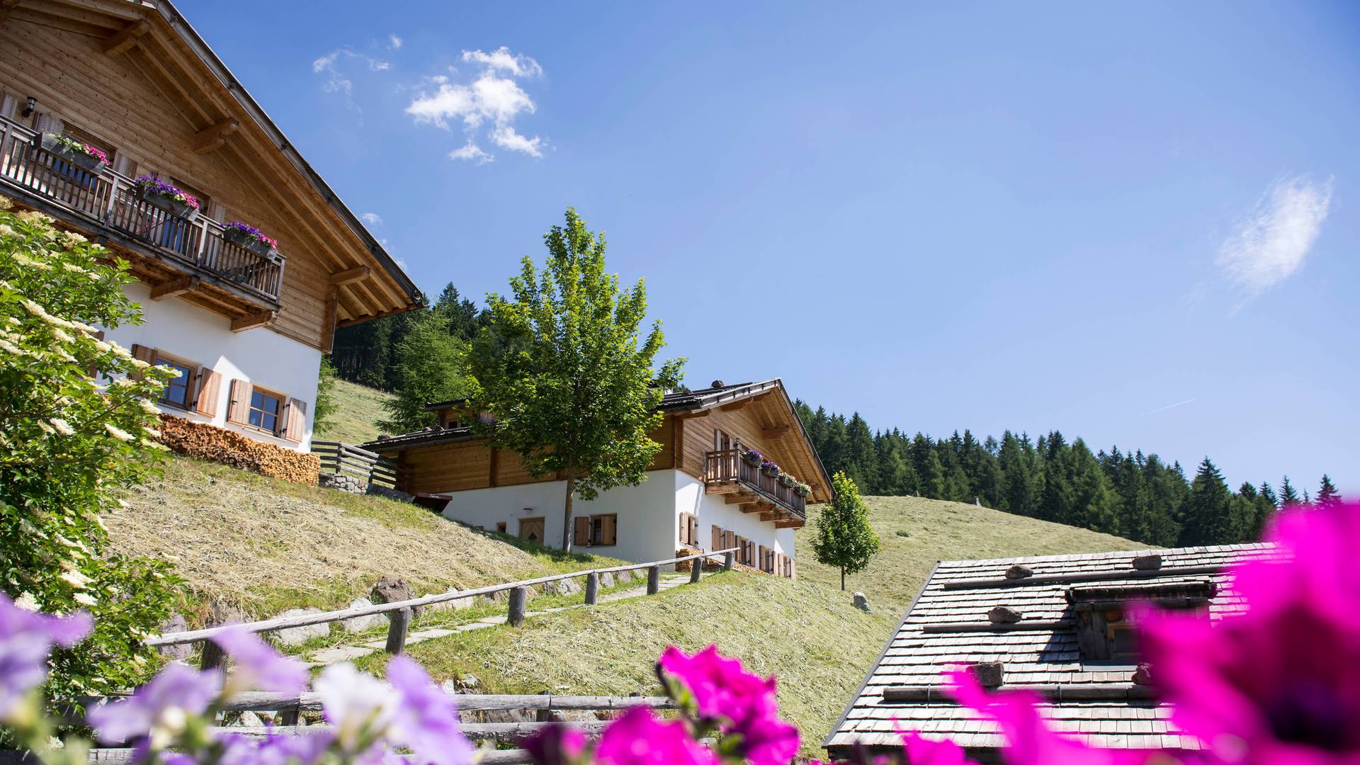 Almchalets Familienalm & Almchalets Taser Alm****