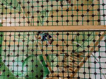 Das Mühlwald Quality Time Family Resort Das Mühlwald Quality Time Family Resort