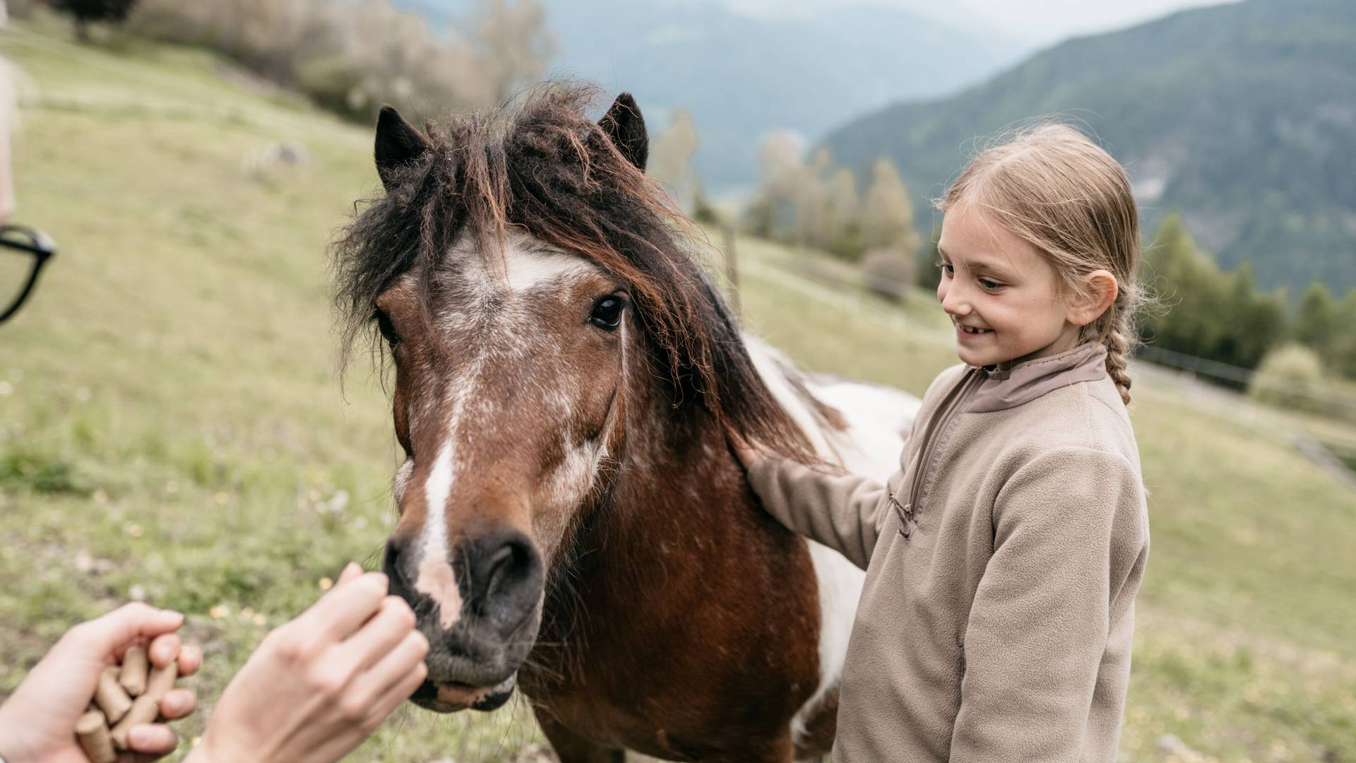 Hotel Familiamus ***** Hotel Familiamus *****