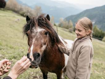 Hotel Familiamus ***** Hotel Familiamus *****