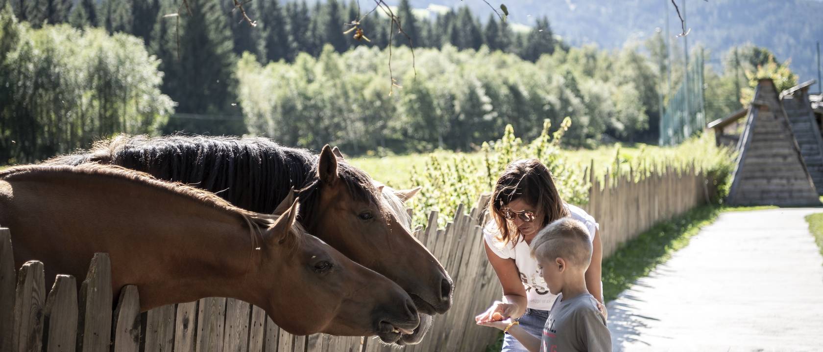 Welche Family Experiences wählt ihr? Welche Family Experiences wählt ihr?