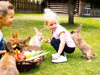 Alpura – Das 5-Sterne-Luxusretreat Alpura – Das 5-Sterne-Luxusretreat