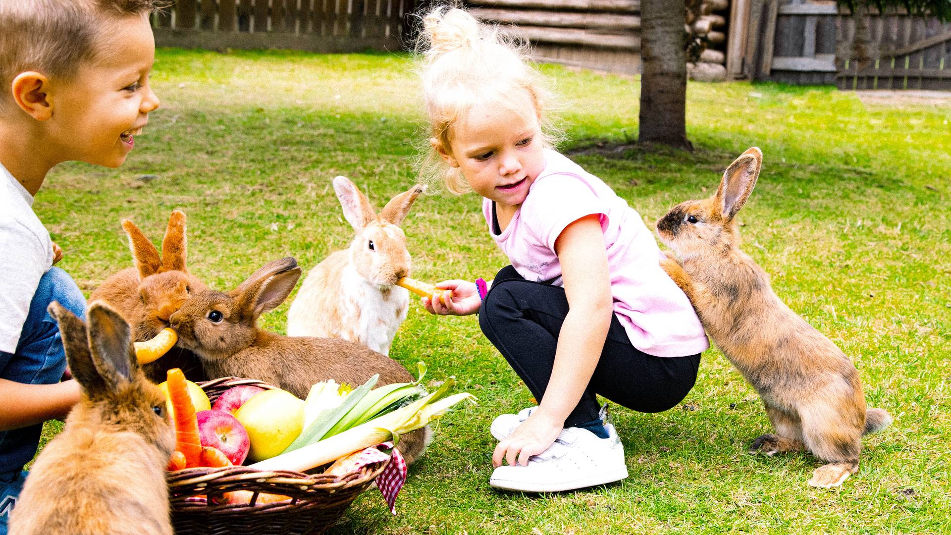 Alpura – Das 5-Sterne-Luxusretreat Alpura – Das 5-Sterne-Luxusretreat