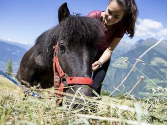 Familienalm & Almchalets Taser Alm**** Familienalm & Almchalets Taser Alm****