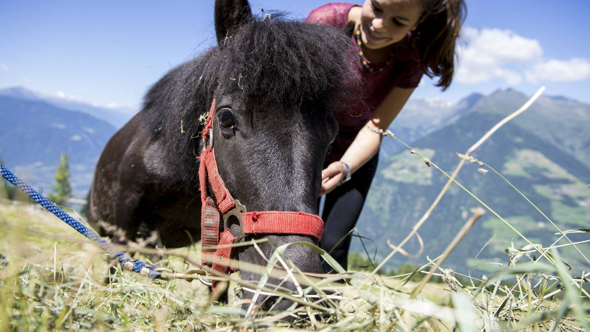 Familienalm & Almchalets Taser Alm**** Familienalm & Almchalets Taser Alm****