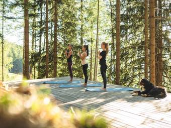 Familienalm & Almchalets Taser Alm**** Familienalm & Almchalets Taser Alm****