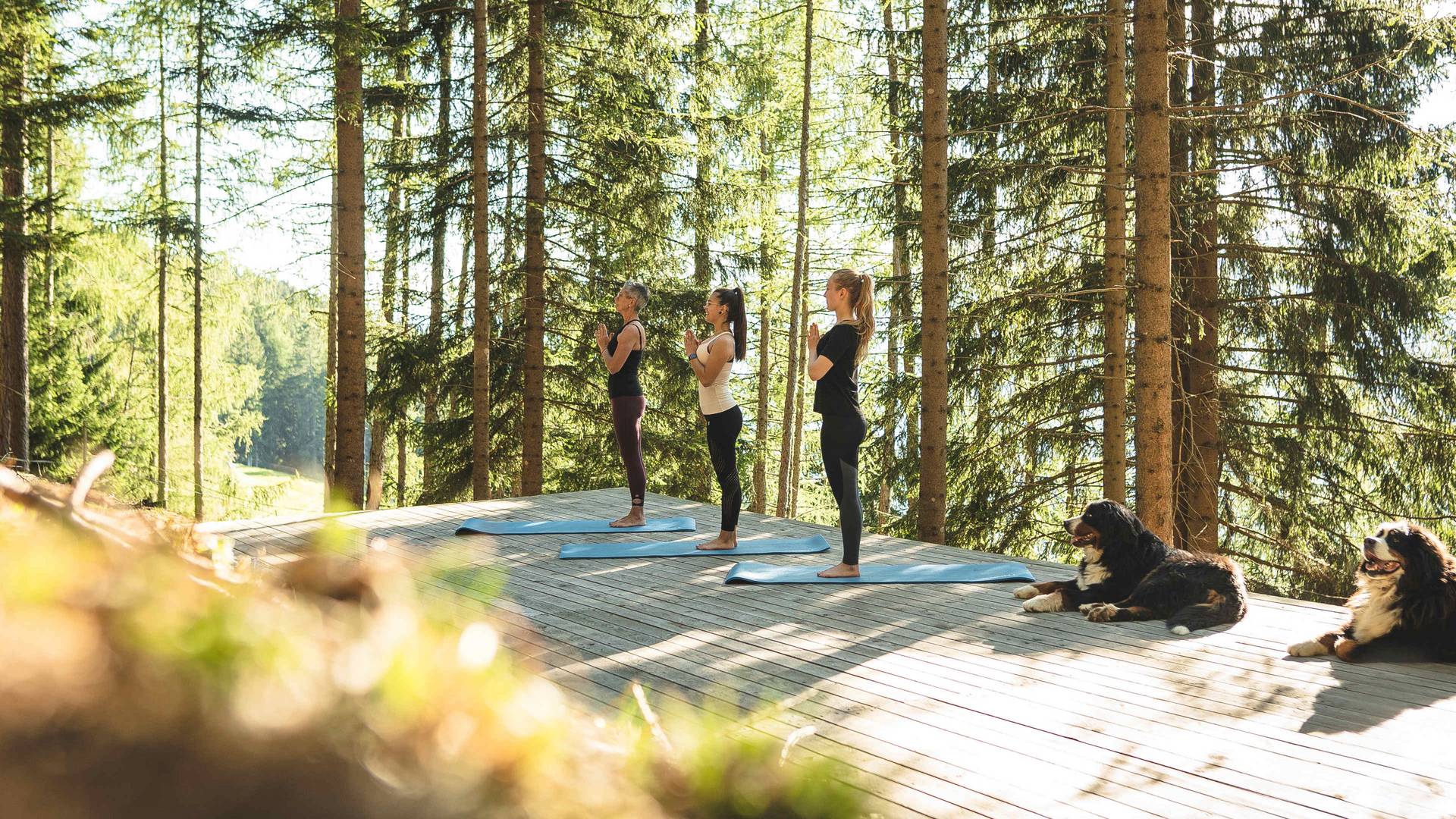 Familienalm & Almchalets Taser Alm**** Familienalm & Almchalets Taser Alm****