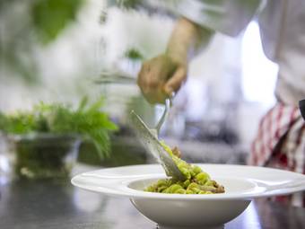 Familienalm & Almchalets Taser Alm**** Familienalm & Almchalets Taser Alm****