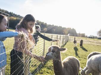 AKI Family Resort PLOSE AKI Family Resort PLOSE