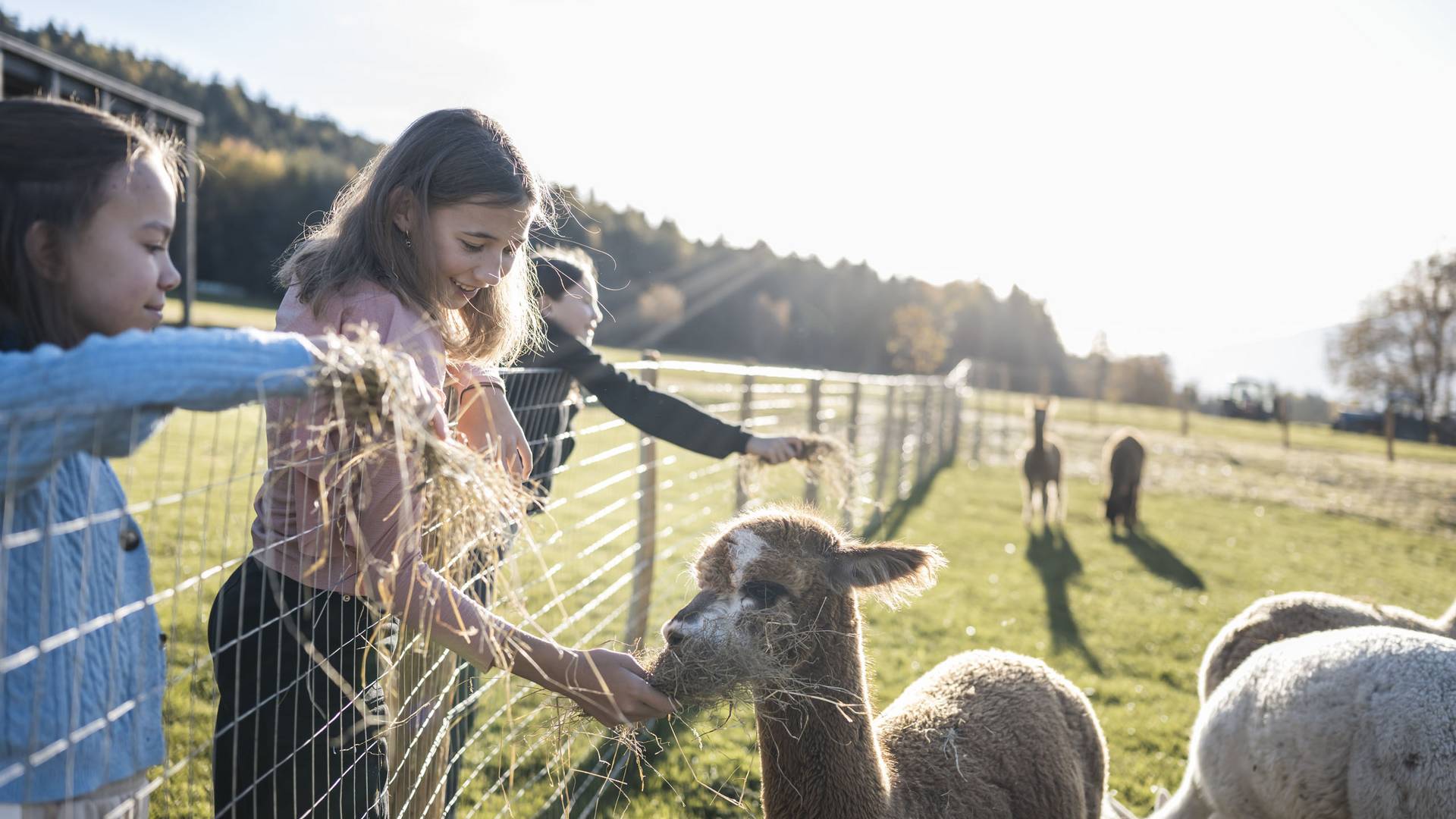 AKI Family Resort PLOSE AKI Family Resort PLOSE