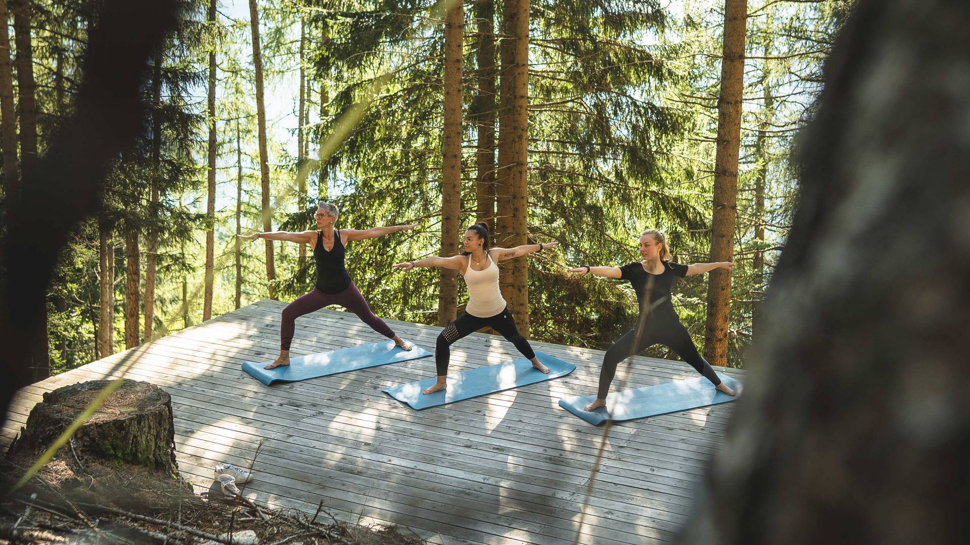 Familienalm & Almchalets Taser Alm**** Familienalm & Almchalets Taser Alm****