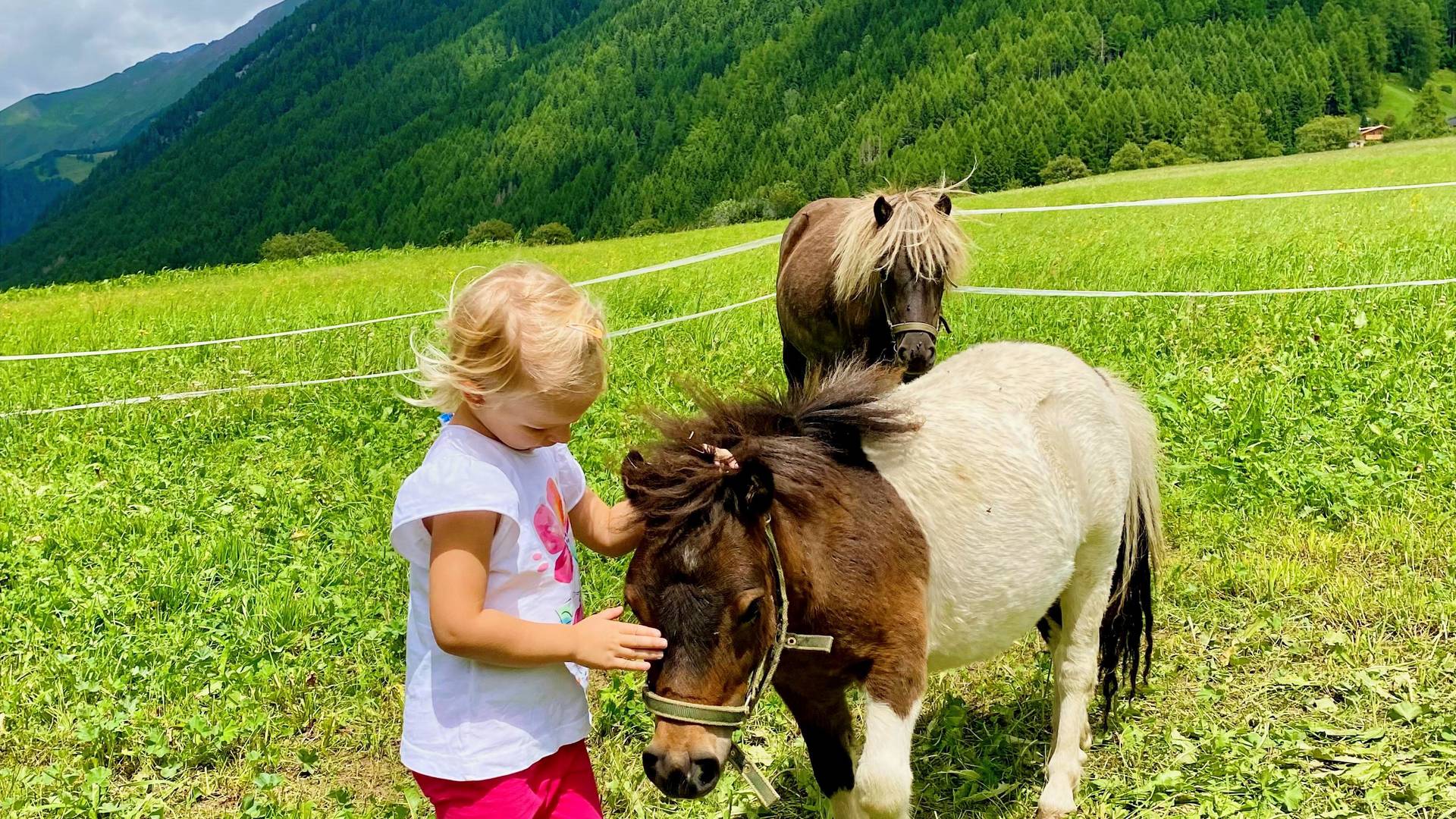 linara mountain family stay *** linara mountain family stay ***