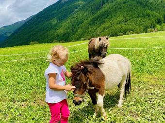 linara mountain family stay *** linara mountain family stay ***