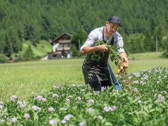 linara mountain family stay *** linara mountain family stay ***