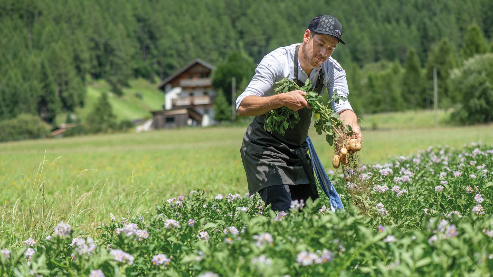 linara mountain family stay *** linara mountain family stay ***