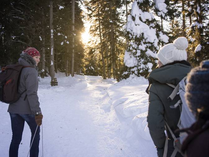Piste da slittino in Alto Adige: divertimento a non finire Piste da slittino in Alto Adige: divertimento a non finire
