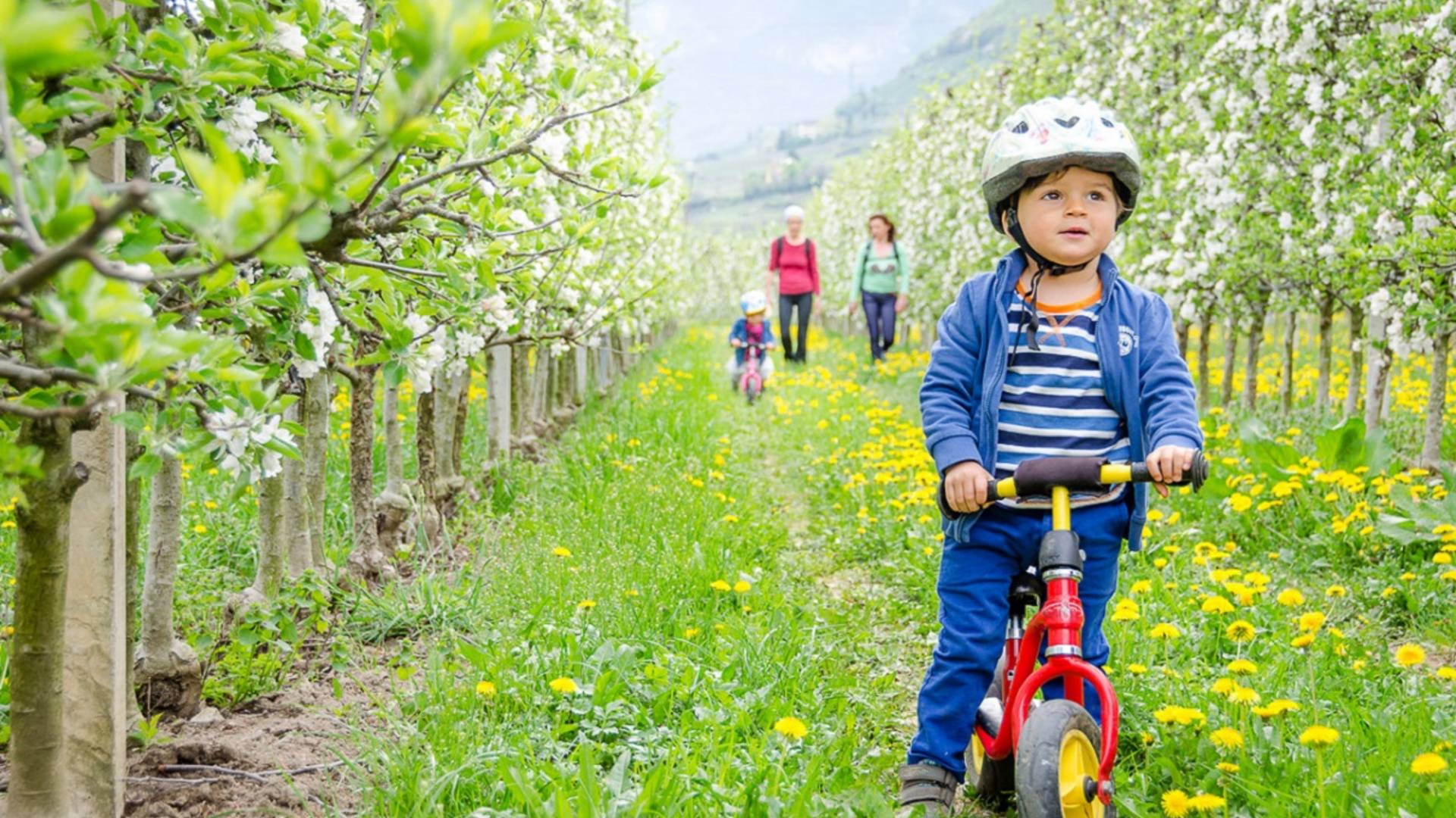 Das Mühlwald Quality Time Family Resort Das Mühlwald Quality Time Family Resort