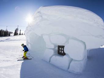 Movi Family Apart-Hotel Movi Family Apart-Hotel