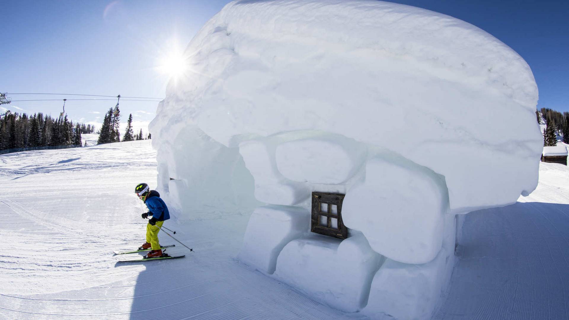 Movi Family Apart-Hotel Movi Family Apart-Hotel