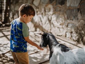 Familienresidence & Suiten Das Grafenstein ****ˢ Familienresidence & Suiten Das Grafenstein ****ˢ