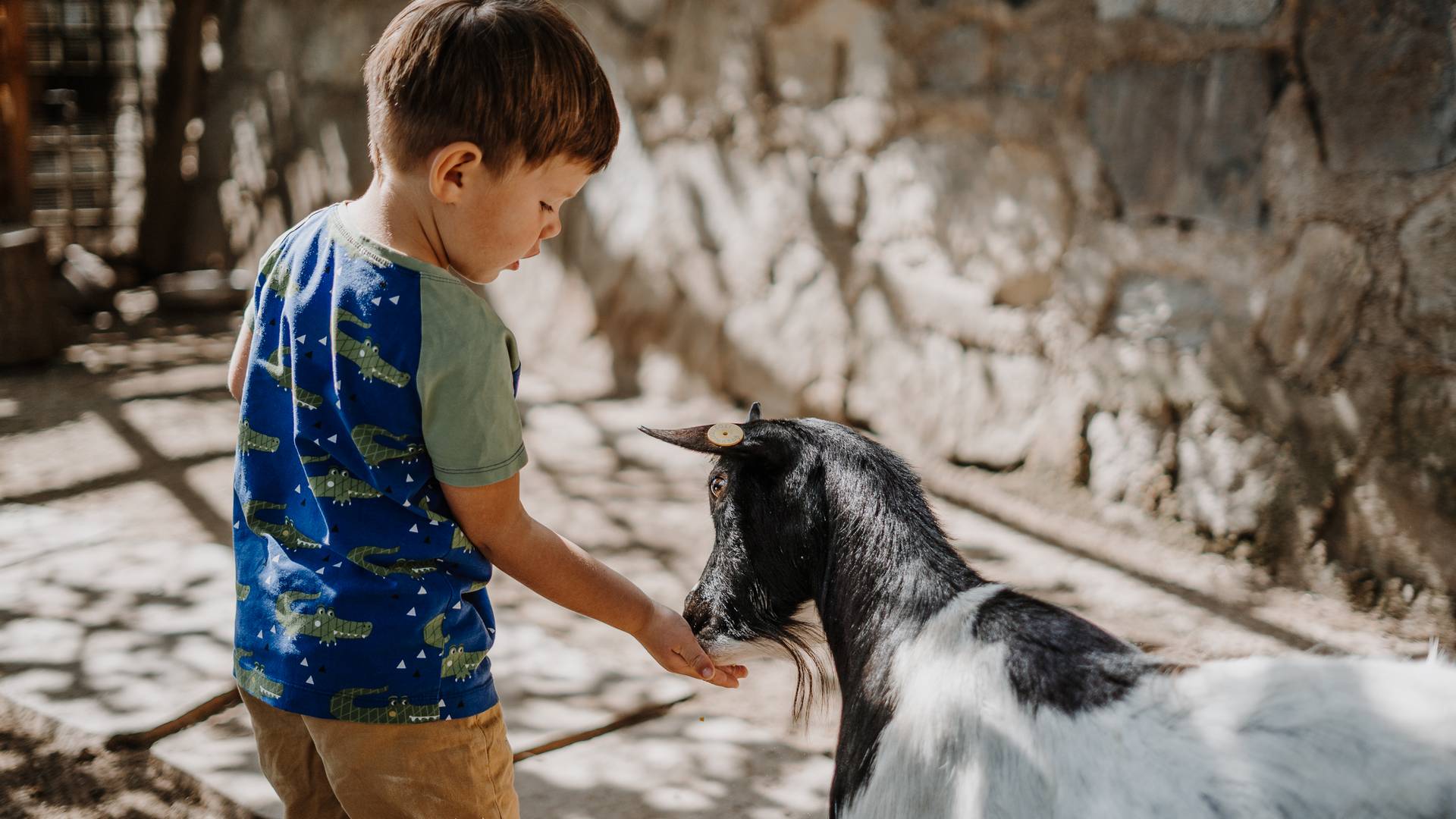 Familienresidence & Suiten Das Grafenstein ****ˢ Familienresidence & Suiten Das Grafenstein ****ˢ