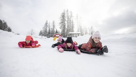 Reach for the stars in Gummer Reach for the stars in Gummer