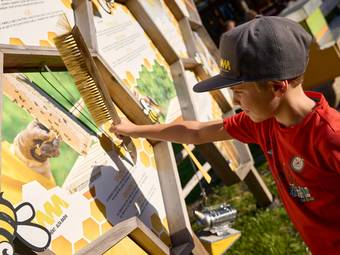 Movi Family Apart-Hotel Movi Family Apart-Hotel