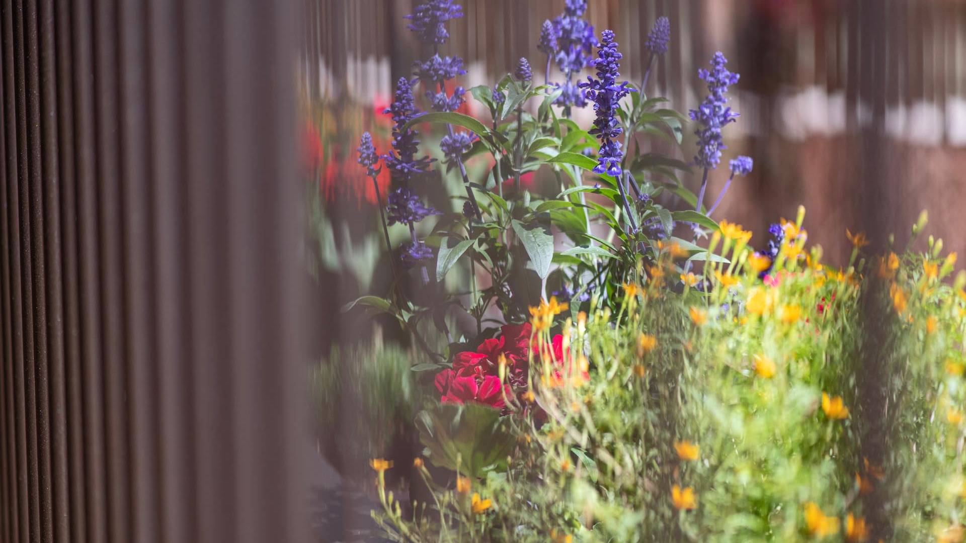 Der Ort für Little Nature Ranger in Vals Der Ort für Little Nature Ranger in Vals