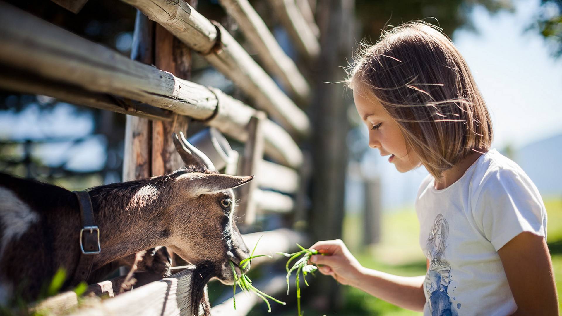 Family Home Alpenhof **** Family Home Alpenhof ****