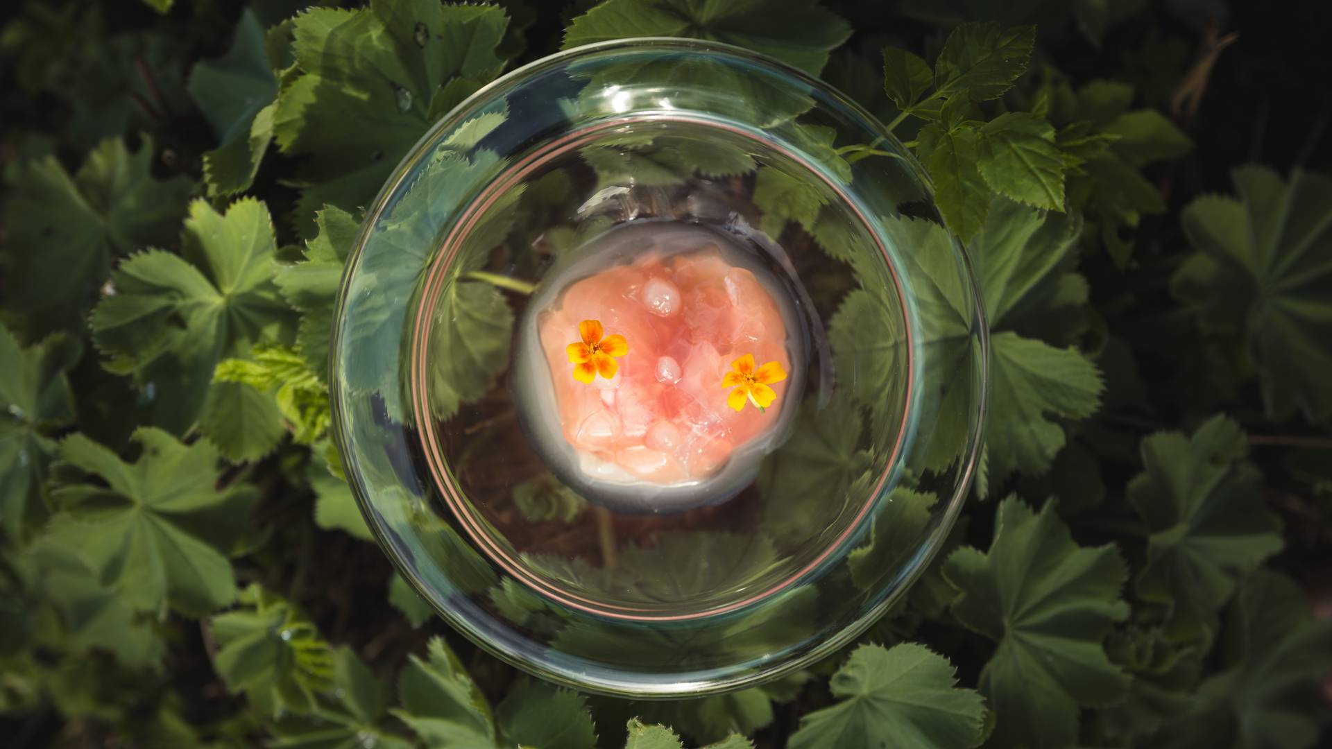 ****ˢ Garberhof Dolomit Family ****ˢ Garberhof Dolomit Family