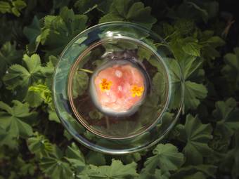 ****ˢ Garberhof Dolomit Family ****ˢ Garberhof Dolomit Family