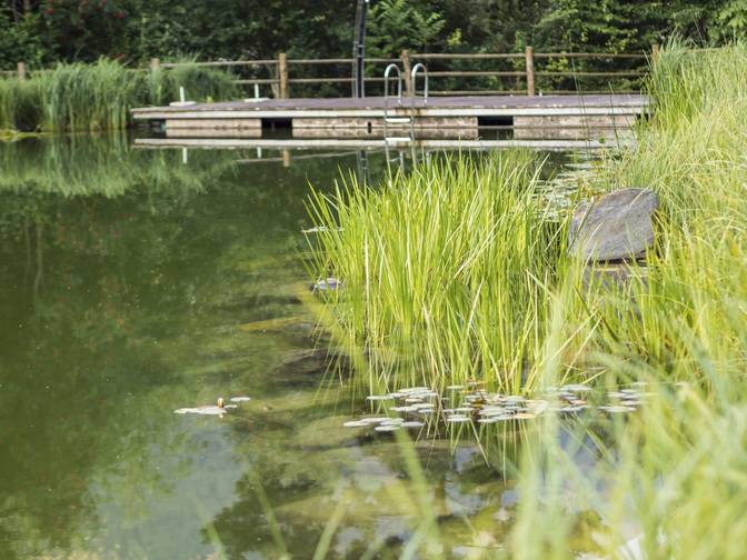 Kinderfreundliches Hotel in Südtirol mit Pool gesucht? Kinderfreundliches Hotel in Südtirol mit Pool gesucht?