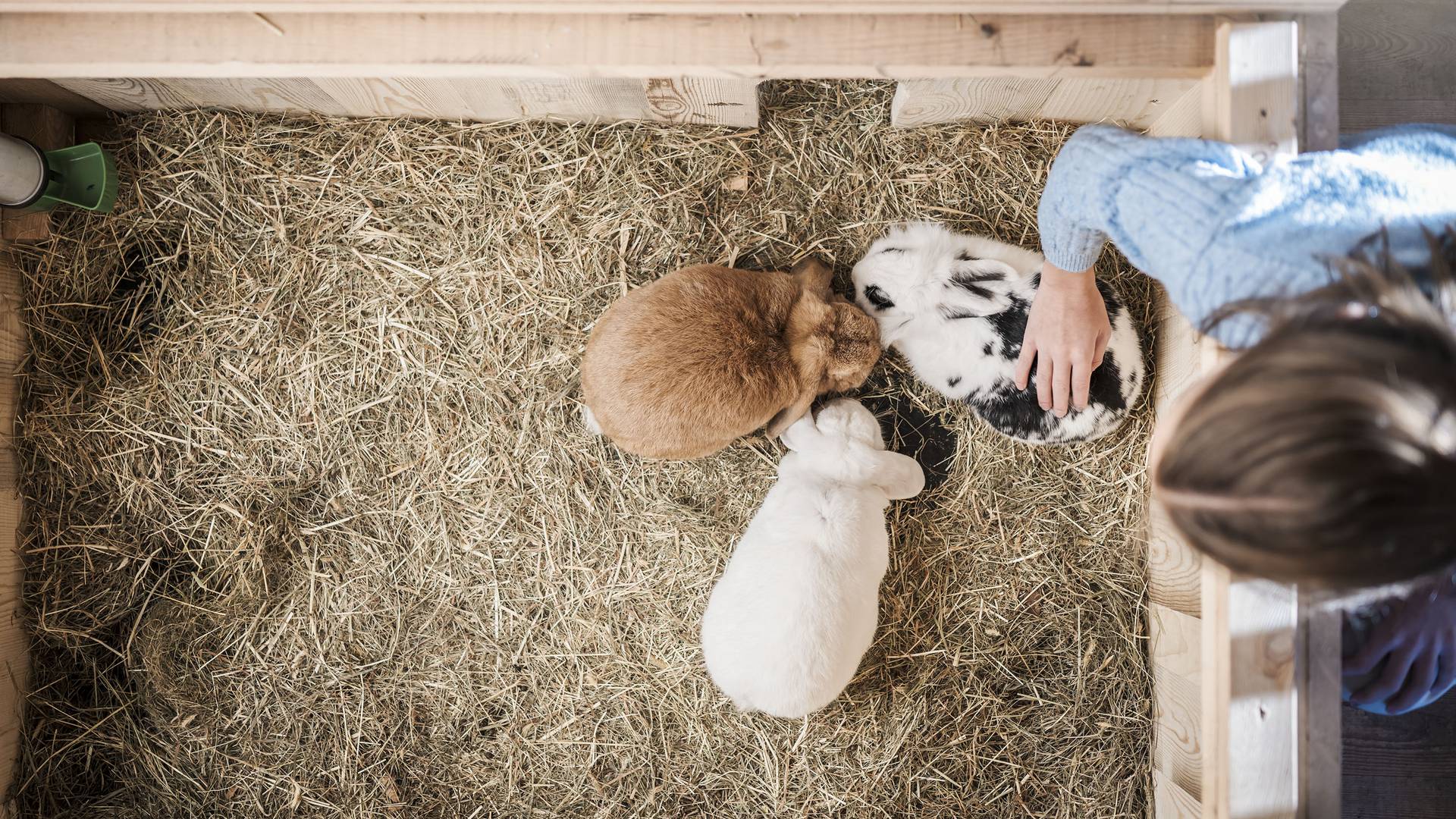 AKI Family Resort PLOSE AKI Family Resort PLOSE