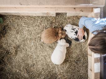 AKI Family Resort PLOSE AKI Family Resort PLOSE