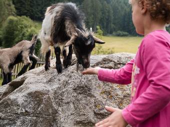 Familienhotel Huber ****ˢ Familienhotel Huber ****ˢ