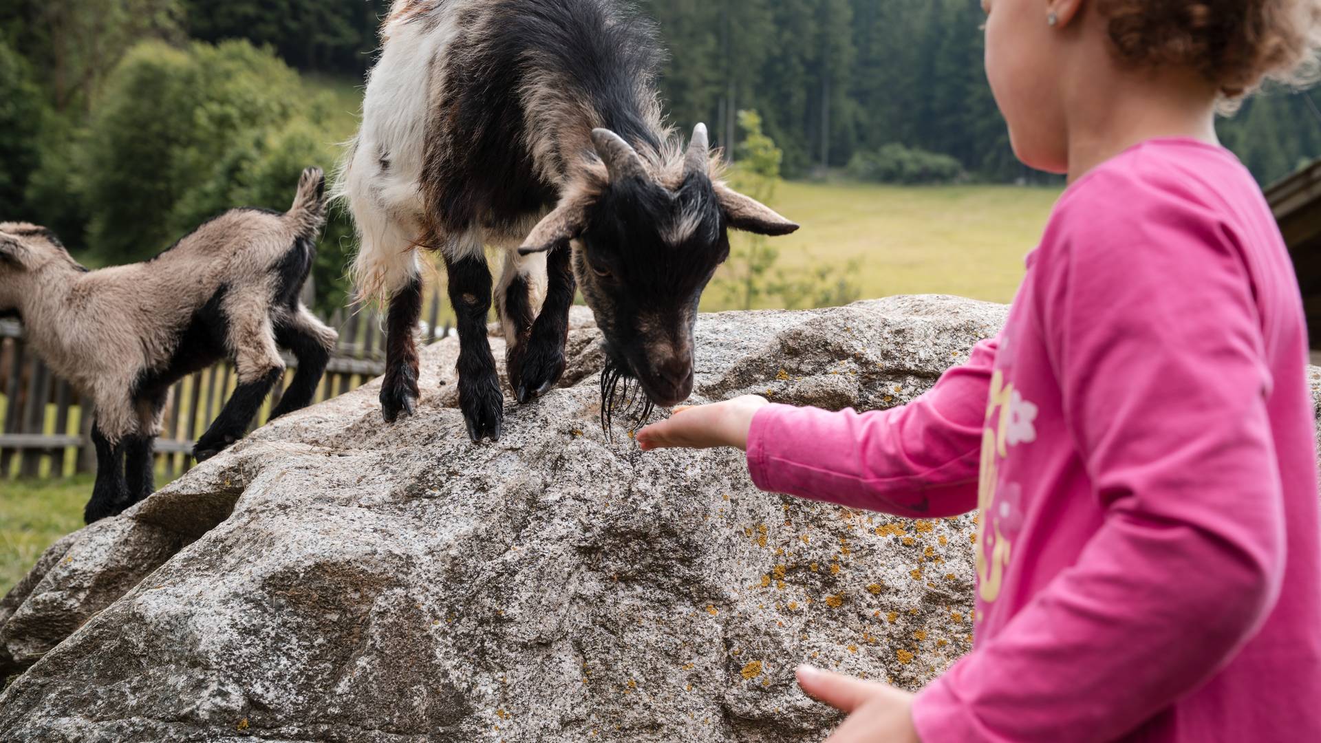 Familienhotel Huber ****ˢ Familienhotel Huber ****ˢ