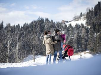 Post Alpina - Family Chalets Dolomites ****ˢ Post Alpina - Family Chalets Dolomites ****ˢ