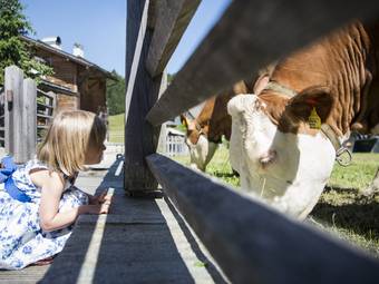 Post Alpina - Family Chalets Dolomites ****ˢ Post Alpina - Family Chalets Dolomites ****ˢ