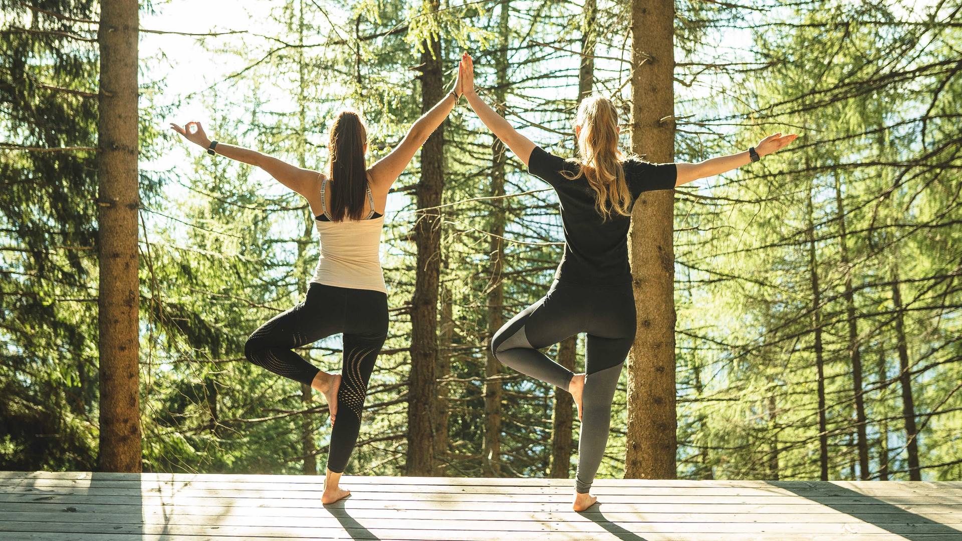 Familienalm & Almchalets Taser Alm**** Familienalm & Almchalets Taser Alm****