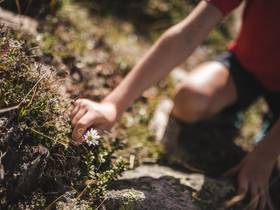 Urlaub in den Bergen: Mit Kindern die Naturparks entdecken? Urlaub in den Bergen: Mit Kindern die Naturparks entdecken?