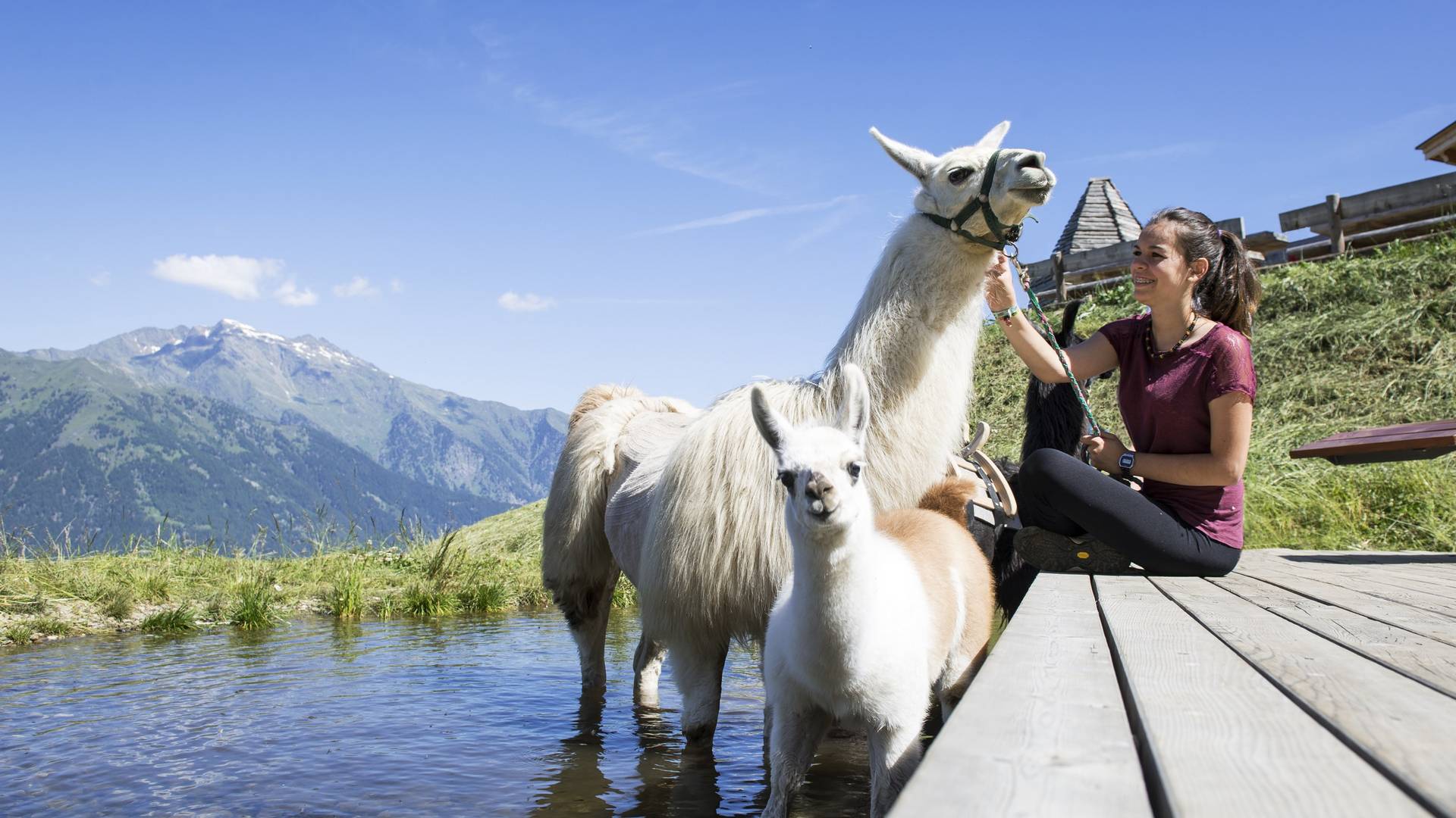 Familienalm & Almchalets Taser Alm**** Familienalm & Almchalets Taser Alm****