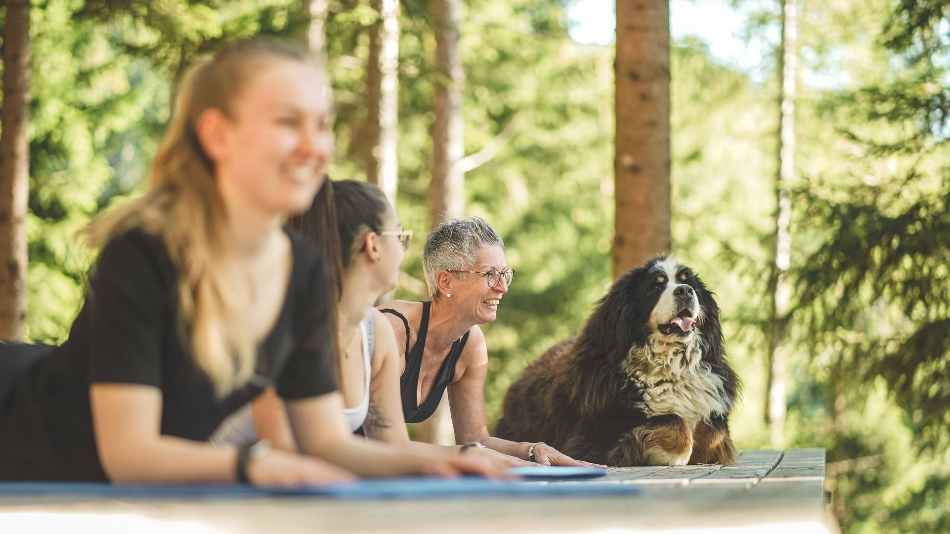 Familienalm & Almchalets Taser Alm**** Familienalm & Almchalets Taser Alm****