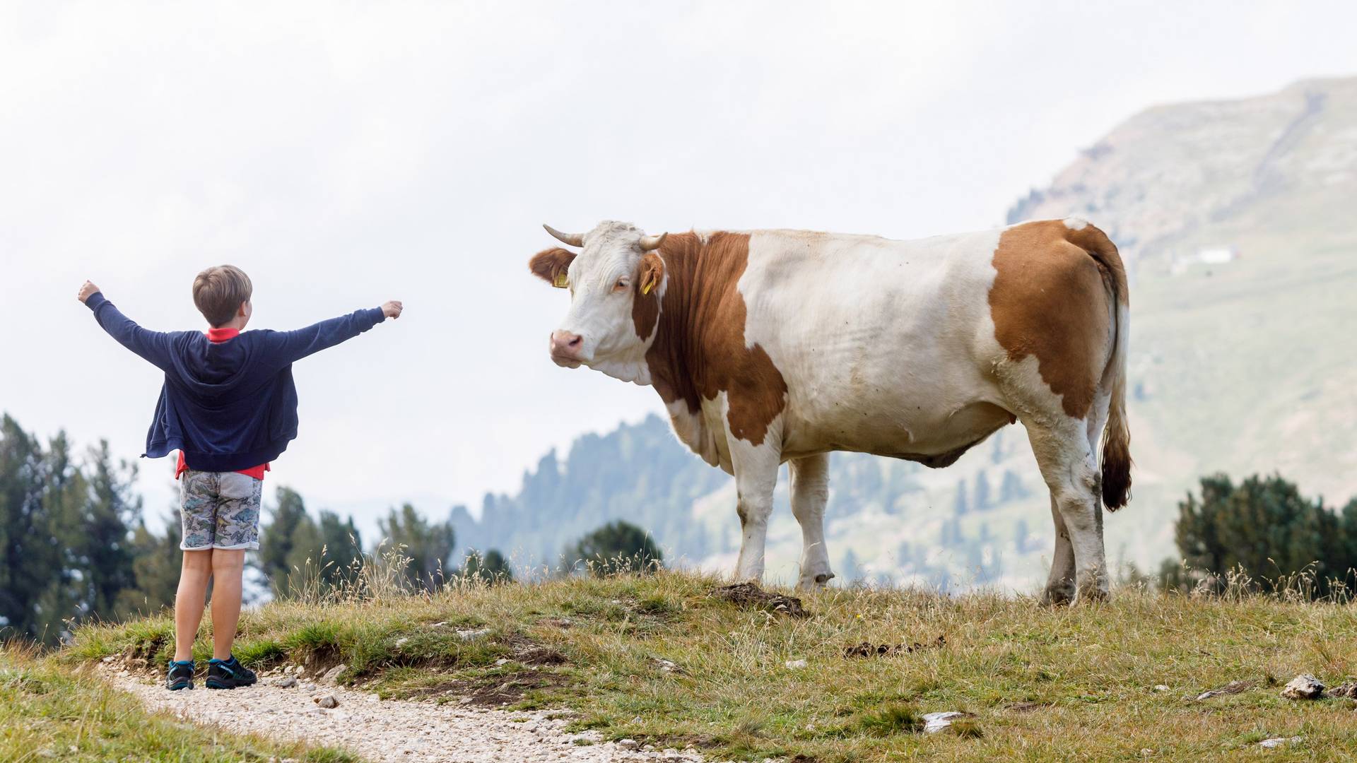 Adventure Family Hotel Maria **** Adventure Family Hotel Maria ****