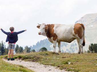 Adventure Family Hotel Maria **** Adventure Family Hotel Maria ****