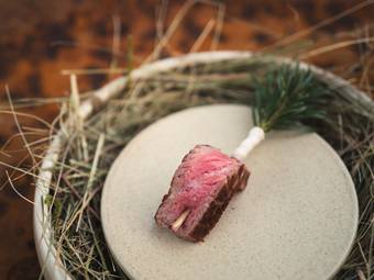 ****ˢ Garberhof Dolomit Family ****ˢ Garberhof Dolomit Family