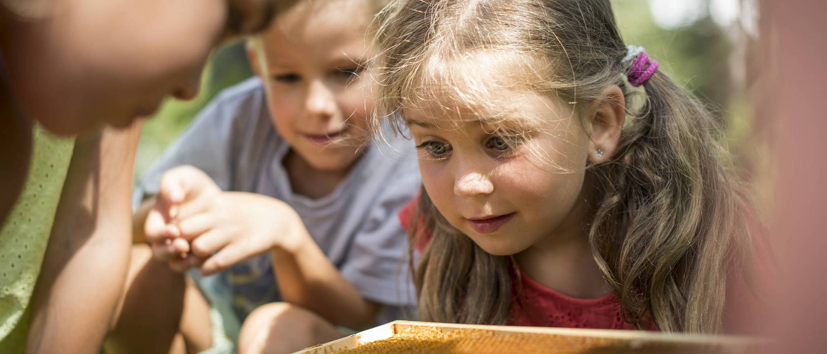 Unser Kinderprogramm für kleine Entdecker Unser Kinderprogramm für kleine Entdecker